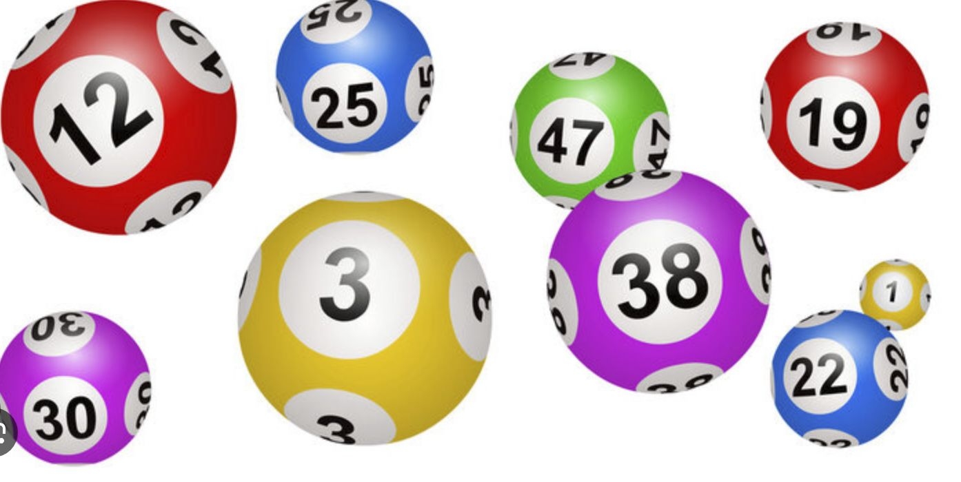 LOTOS DE LA SAISON HIVER 2025–2026